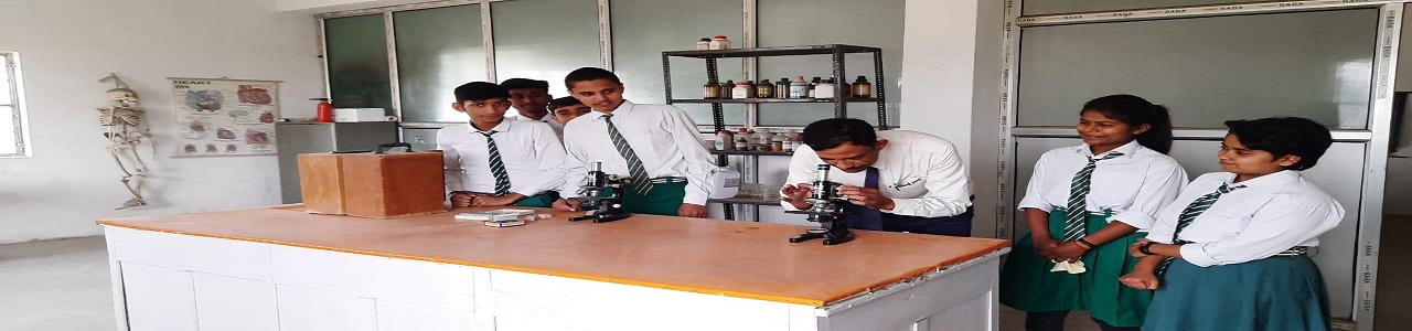 Best administration S.S Public School in  ,Dighwadubauli